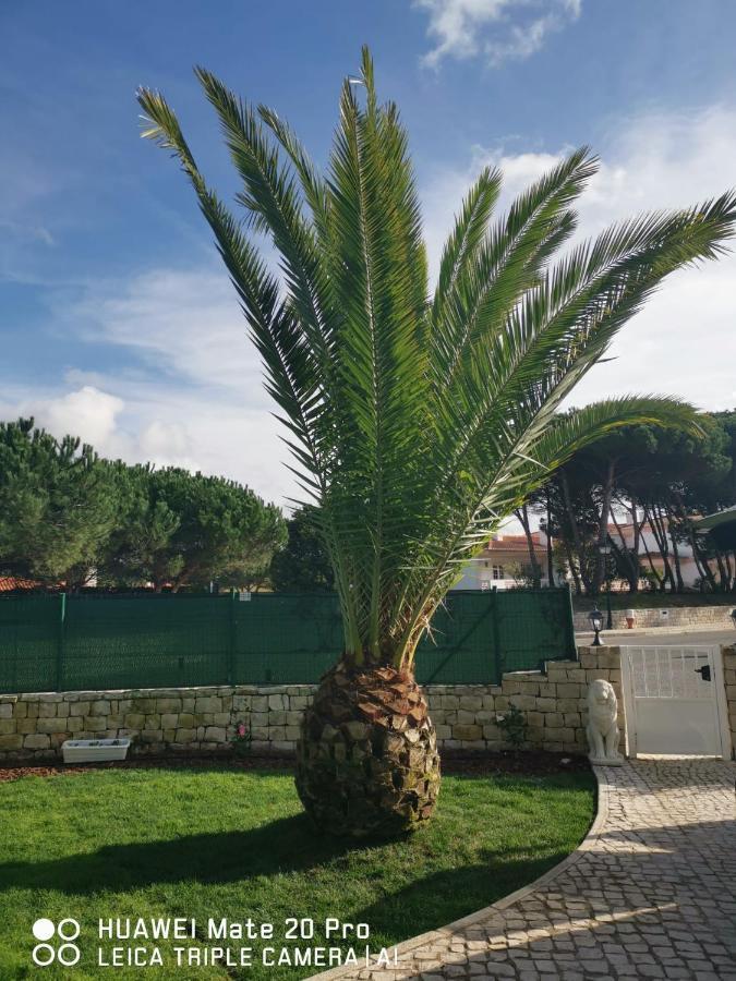 Villa Lala Amoreira  Dış mekan fotoğraf